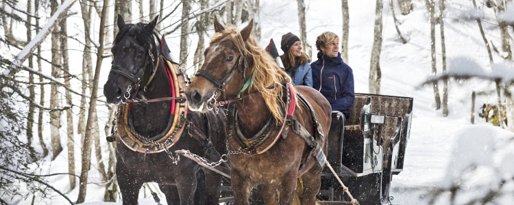 Horse-drawn sleigh ride in a snowy landscape